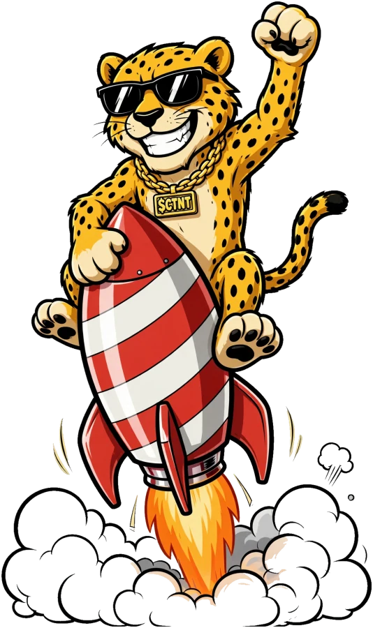 The $CTNT cheetah riding a rocket