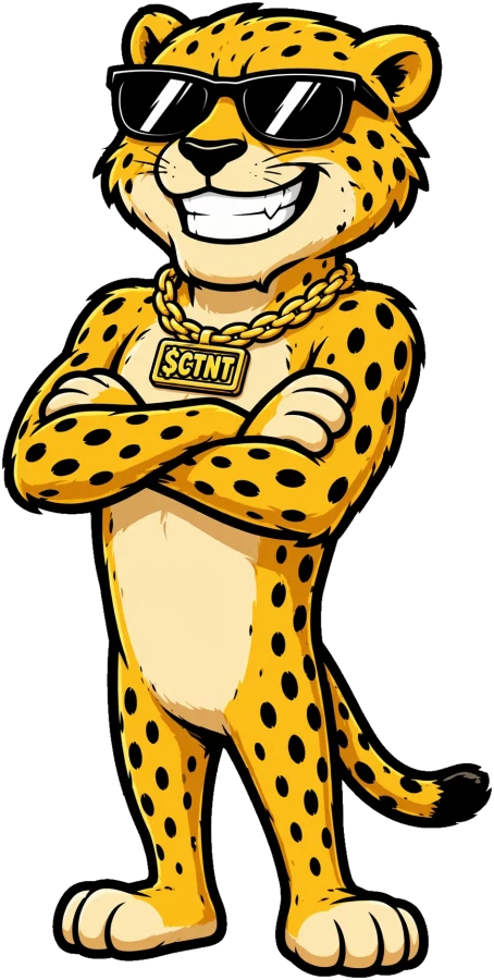 The $CTNT cheetah