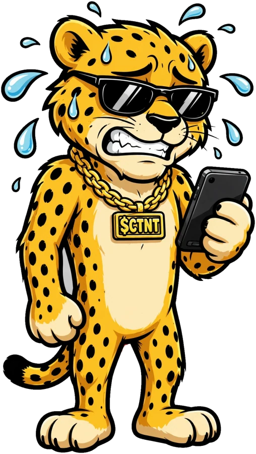 The $CTNT cheetah sweating at his phone